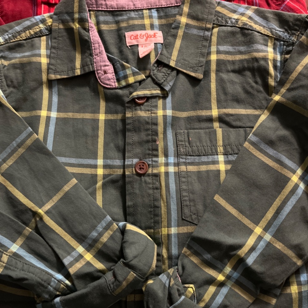Collared Shirts - Picture 7 of 9